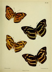 n324_w1150