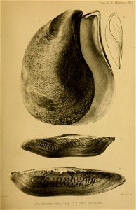 n126_w1150