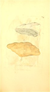 n562_w1150
