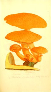 n212_w1150