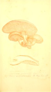 n182_w1150