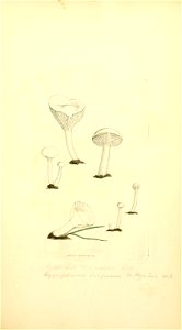 n122_w1150