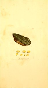 n410_w1150