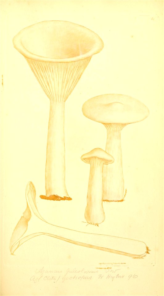 n180_w1150