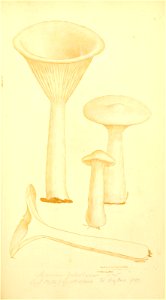 n180_w1150