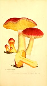 n120_w1150