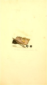 n588_w1150