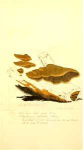n498_w1150