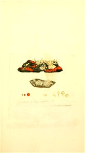 n468_w1150
