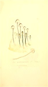 n438_w1150