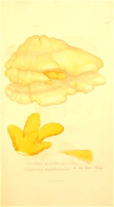 n378_w1150