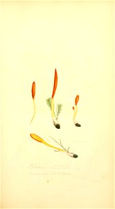 n178_w1150