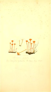 n148_w1150
