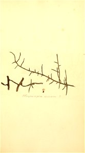n820_w1150