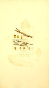 n586_w1150