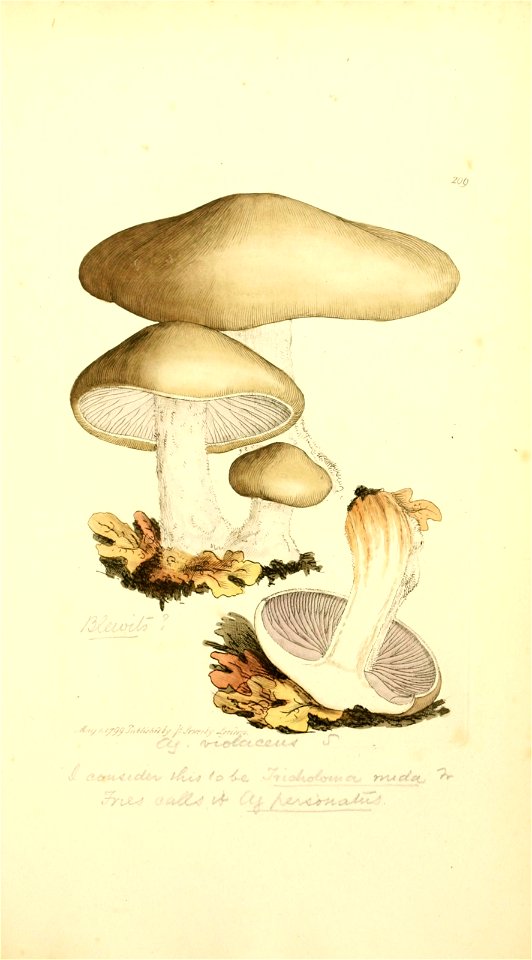 n526_w1150
