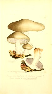 n526_w1150