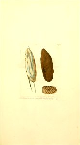 n466_w1150