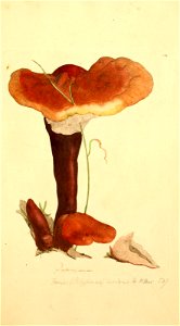 n376_w1150