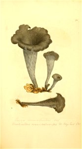 n206_w1150
