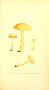 n146_w1150