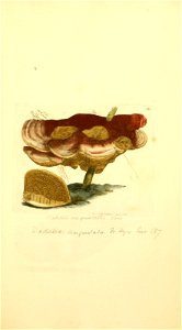 n494_w1150