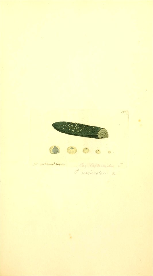 n464_w1150