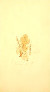 n294_w1150