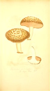 n204_w1150
