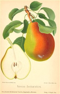 n454_w1150