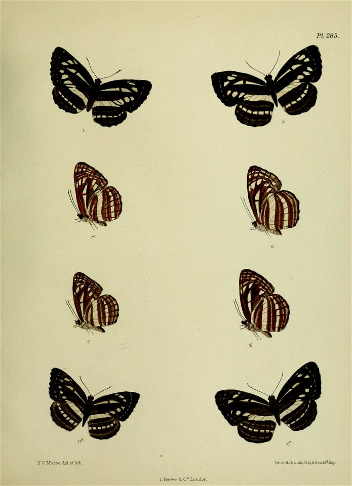 n456_w1150