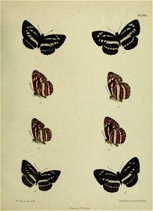 n456_w1150