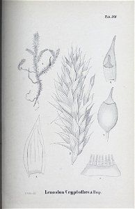 n114_w1150