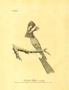 n85_w1150