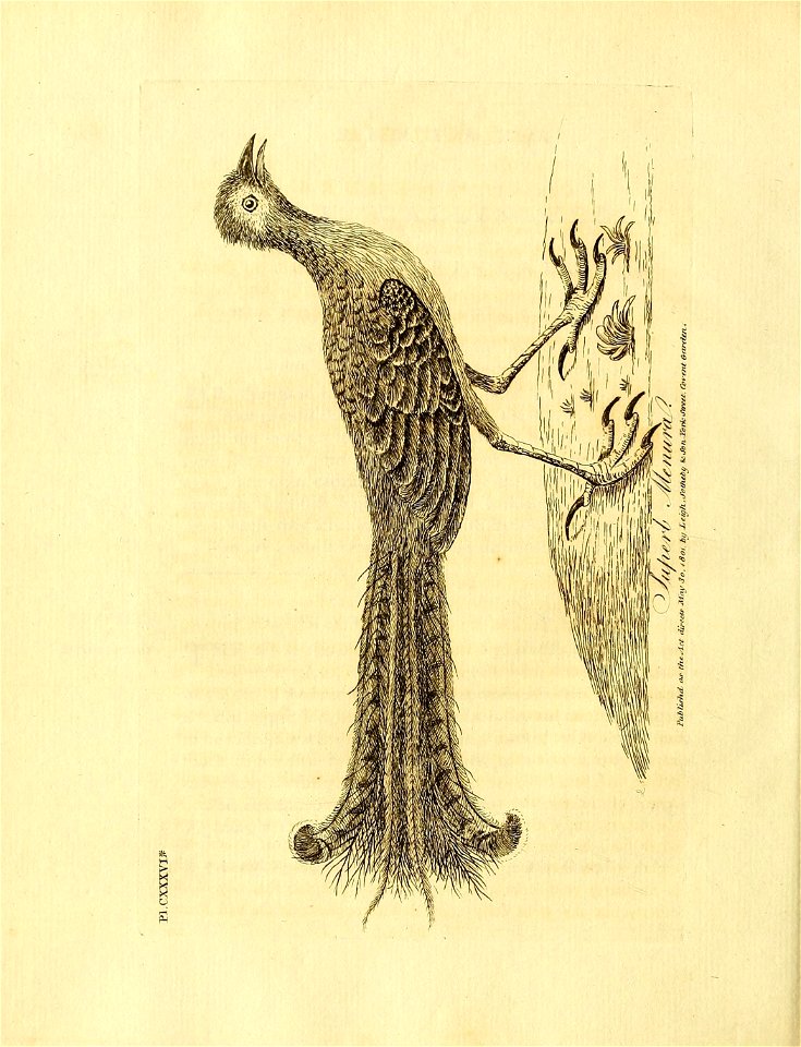 n313_w1150
