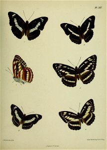 n420_w1150