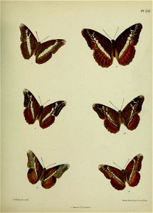n390_w1150