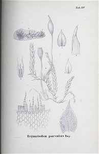 n108_w1150