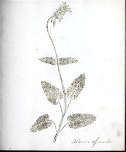 n18_w1150