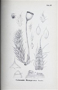 n106_w1150
