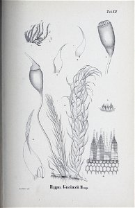 n104_w1150