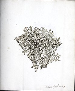 n44_w1150