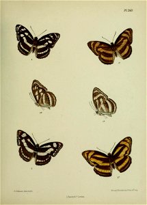n412_w1150
