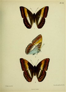 n382_w1150