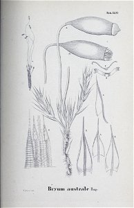 n132_w1150