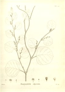 n237_w1150