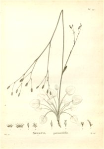 n207_w1150