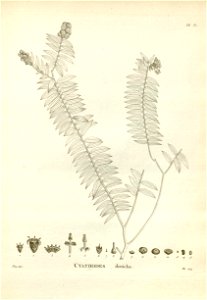n192_w1150