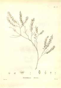 n177_w1150