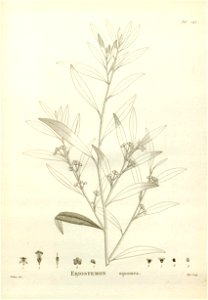 n251_w1150